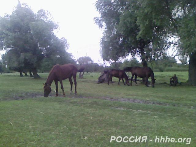 Продаю дача  73 кв.м  кирпичный