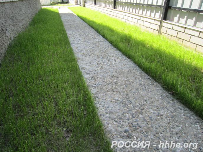 Отмостка Тропинки Бетонный пол