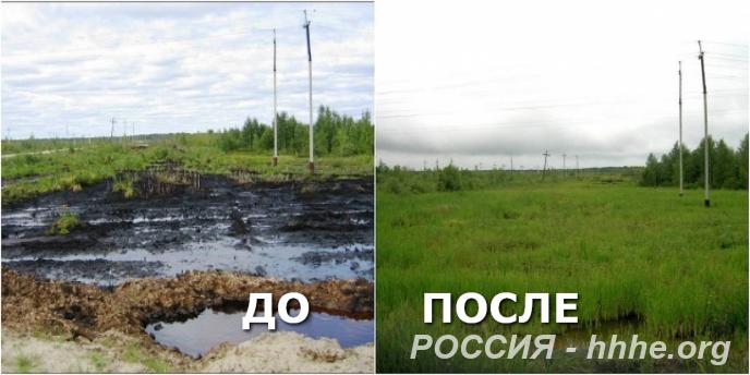 Проекты рекультивации нефтезагрязненных земель и водоемов