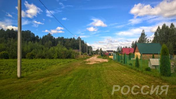 Участок 25 соток ИЖС у соснового леса под Псковом
