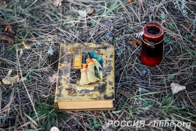 Гадалка. Ясновидящая.