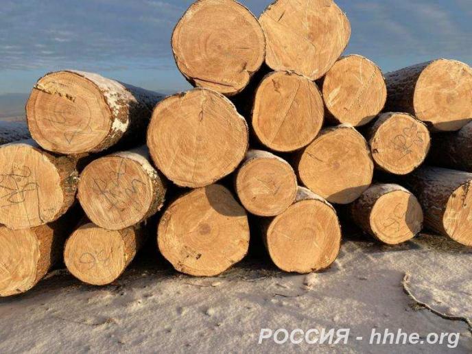 Кедр, лиственница кругляк, брус, лафет, доска.