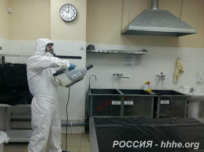 Уничтожение клопов, тараканов и муравьёв. Гарантия