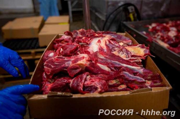 Мясо птицы, говядина, свинина, баранина